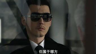 iris 在线观看,iris在线观看，领略自然之美  第3张