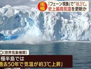 南极最新爆料新闻视频网,神秘生物现踪,极地探险新发现! 第1张 南极最新爆料新闻视频网,神秘生物现踪,极地探险新发现! 第1张