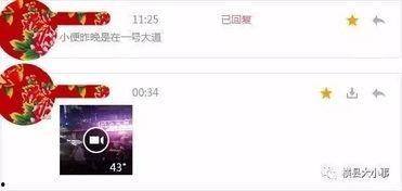 爆料的视频在哪里可以查看,视频爆料背后的故事——深度解析  第2张